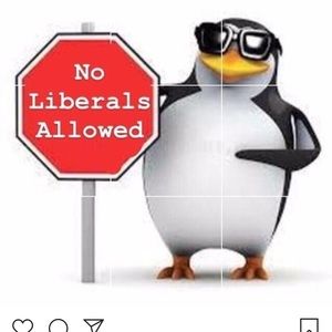 Meet your Posher, Jude